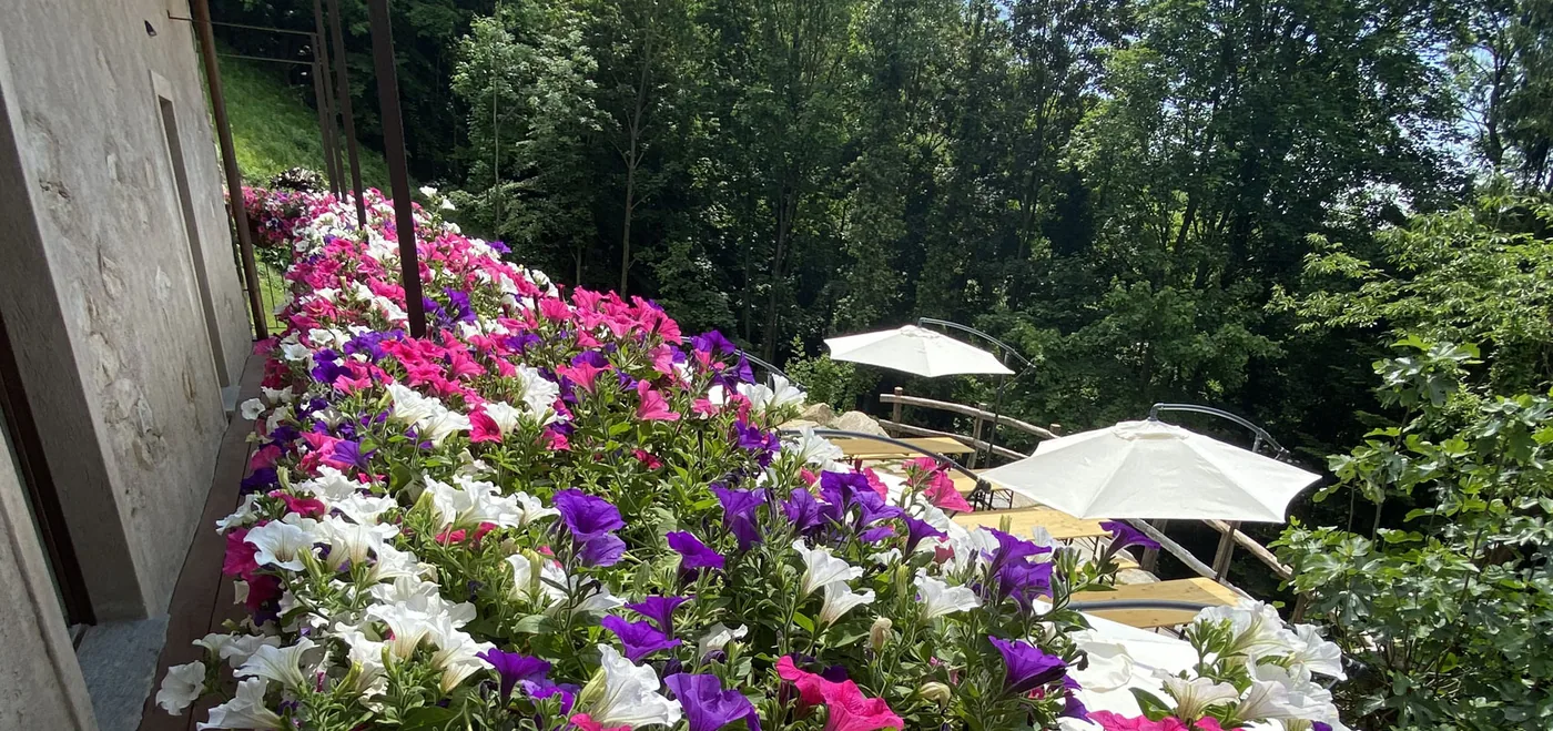 Rifugio nel Bosco di Alice: a Sordevolo un piccolo borgo dove ritrovare natura, cucina e silenzio